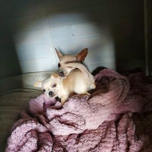 Meet your Posher, Mariela